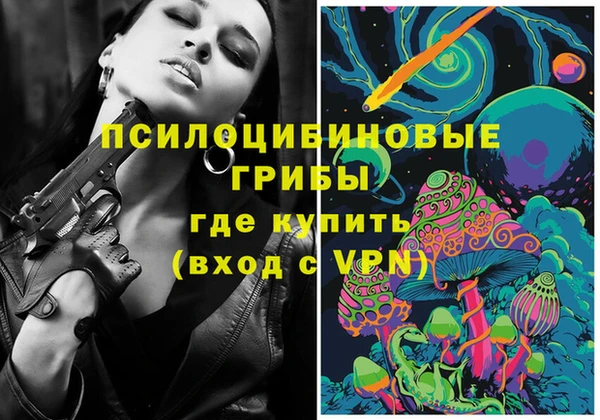 крисы Белокуриха