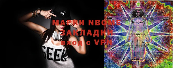 крисы Белокуриха