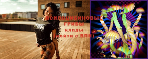 крисы Белоозёрский