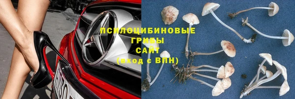 крисы Семикаракорск